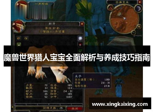 魔兽世界猎人宝宝全面解析与养成技巧指南
